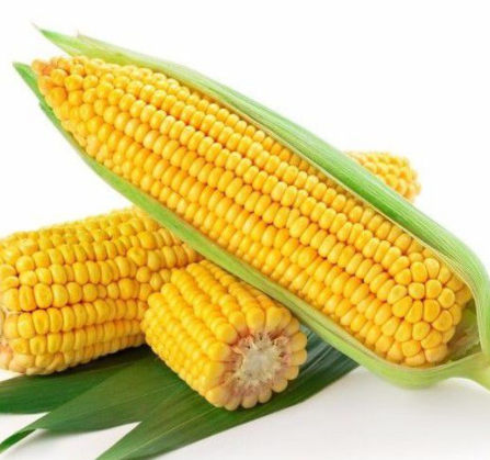 玉米振動篩如何選擇？